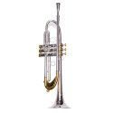 Trompeta Taylor Collins TCTR-069H Plateada con pistones Monel en Sib