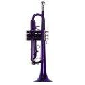 Trompeta Taylor Collins TCTR-09 PR Purpura