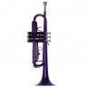 Trompeta Taylor Collins TCTR-09 PR Purpura
