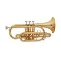 Corneta Taylor Collins TCCR-100 Lacada en Sib