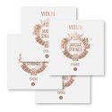 "Set de Cuerdas violín Jargar Evoke 4/4 Medium"