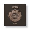 "Set de Cuerdas violín Jargar Evoke 4/4 Medium"