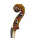 Violí Tradizione Vibrato cordes Dominant