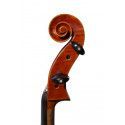 Violoncelo F. Müller Concertino Cuerdas Jargar