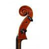 Violoncelo F. Müller Concertino Cuerdas Jargar