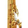 Saxo Tenor Yamaha YTS 62
