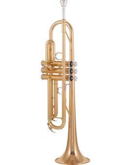 Trompeta Yamaha YTR 4335GII
