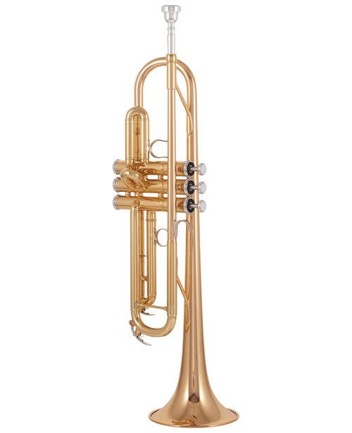 Trompeta Yamaha YTR 4335GII