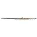 Flauta Sankyo CF 201 Nel Cabeza Plata Alineada