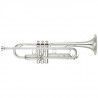 Trompeta Yamaha YTR 5335GSII