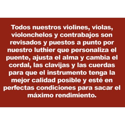 Violín Jay Haide Stradivari Eurowood