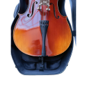 Esponja para adaptar estuche cello Artist Dynamic 7/8