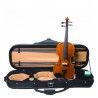Violí F. Müller Virtuoso Arc- Estoig - Cordes Dominant