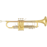 TROMPETA Sib TP500