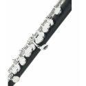 FLAUTÍN PICCOLO PEARL QUANTZ PFP105E-OM