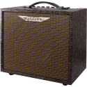 AMPLIFICADOR ASHDOWN WOODSMAN GUITARRA ACÚSTICA - 25w