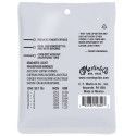 JUEGO ACÚSTICA AUTHENTIC SP FLEXIBLE PHOSPHOR/BZ LIGHT 12-54