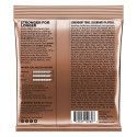 JUEGO ACÚSTICA PARADIGM PHOSPHOR BRONZE  10-50