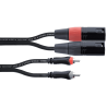 Cable de audio doble XLR/RCA macho 1 m
