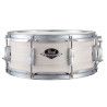 CAJA 14 X 5.5" EXX EXPORT - Slipstrem White