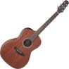 GUITARRA ACÚSTICA NEW YORKER GY11 A/E - NATURAL SATIN