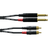 Cable de audio doble jack mono/RCA 6 m