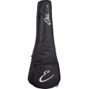 GUITALELE DUO