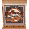JUEGO ACÚSTICA EARTHWOOD 92/8 PHOSPHOR BZ. (12 St.) LIGHT 10-48