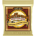 JUEGO ACÚSTICA EARTHWOOD 80/20 BRONZE (12 St.) LIGHT 10-48 