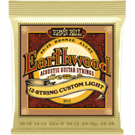 JUEGO ACÚSTICA EARTHWOOD 80/20 BRONZE (12 St.) LIGHT 10-48