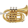 TROMPETA pocket TP50