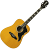 GUITARRA ACÚSTICA DREADNOUGHT RANGER 6 VR A/E - Natural