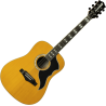 GUITARRA ACÚSTICA DREADNOUGHT RANGER 6 VR - Natural
