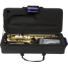 SAXOFÓN ALTO A420-II - MATE CEPILLADO
