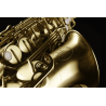 SAXOFÓN ALTO A420-II - MATE CEPILLADO