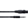 Cable de audio XLR hembra / jack estéreo - 1 m