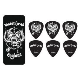 BOTE DE 6, WARPIG, MEDIUM