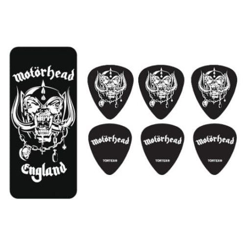 BOTE DE 6, WARPIG, MEDIUM