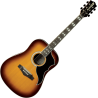 GUITARRA ACÚSTICA DREADNOUGHT RANGER 6 VR A/E - Honey Burst
