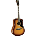 GUITARRA ACÚSTICA DREADNOUGHT RANGER 6 VR A/E - Honey Burst