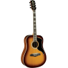 GUITARRA ACÚSTICA DREADNOUGHT RANGER 6 VR A/E - Honey Burst