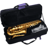 SAXOFÓN ALTO A620-II