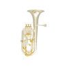 SAXHORN BARITONO BA910S