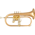 FLISCORNO BU600