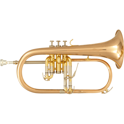 FLISCORNO BU600