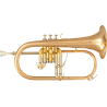 FLISCORNO BU600
