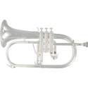 FLISCORNO BU600S