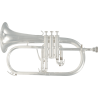 FLISCORNO BU600S