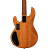 BAJO ELÉCTRICO STINGRAY RAY34 POPLAR BURL HH RM/M -Amber