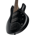 BAJO ELÉCTRICO STINGRAY RAY5 HH M/R - STEALTH BLACK